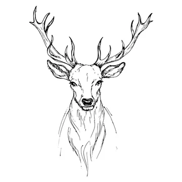 Vector sketch by pen Noble deer front view Stock Vector | Adobe Stock