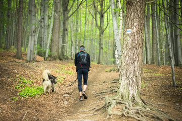 Obraz na płótnie Canvas man in trekking sportswear and husky dog hiking together in the forest