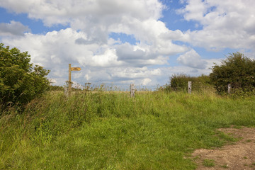 Fototapeta premium bridleway sign