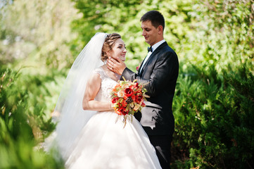 Fantastic wedding couple enjoying each other's company in the park.