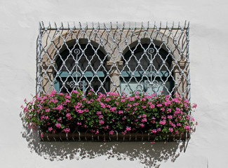 finestra fiorita ad Appiano (Bolzano)