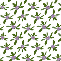 Blueberries vector seamless pattern.