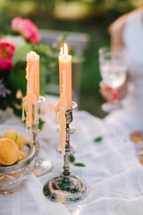 picnic, food, people and holiday concept - decorated picnic table with fruits, burning candles in candlesticks, platter of fresh apricots, pink peony flower, sitting woman with glass, selective focus