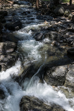 Swift creek in the Yosemite National Park