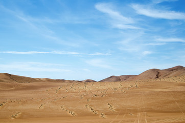 Fototapeta na wymiar Sand dunes of the desert under blue sky - extreme heat