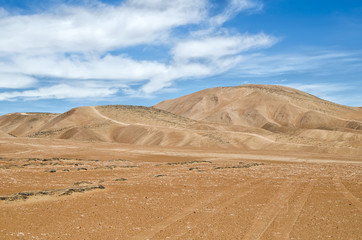 Beautiful natural background - desert sand dunes