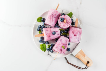 Summer sweets and desserts. Vegan food. Frozen drinks, smoothies. Ice cream popsicles from homemade Greek yogurt and fresh organic blueberries. With mint. On plate, white table. Copy space top view