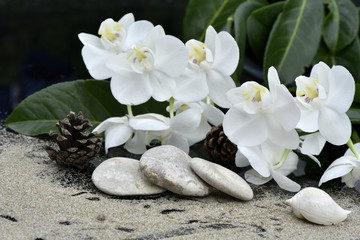 Fototapeta na wymiar Ambiance florale zen