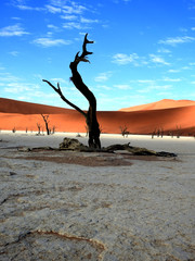 Scenic view at dead vlei, Sossusvlei, Namibia