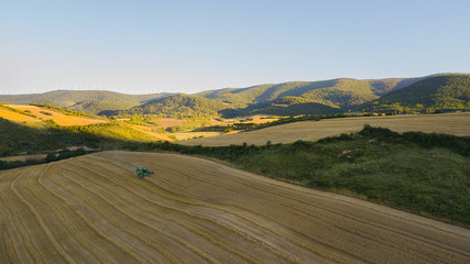 Fototapeta na wymiar Campo de trigo en zona montañosa 