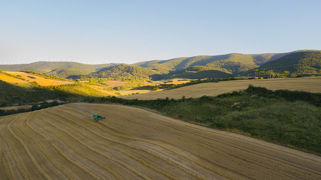 Campo de trigo en zona montañosa 