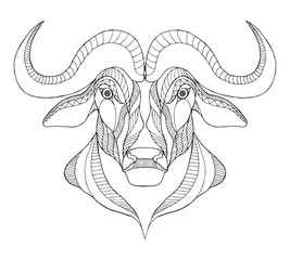 African buffalo head zentangle stylized, vector, illustration, freehand pencil, hand drawn, pattern. Print for t-shirts, mobile cover design.