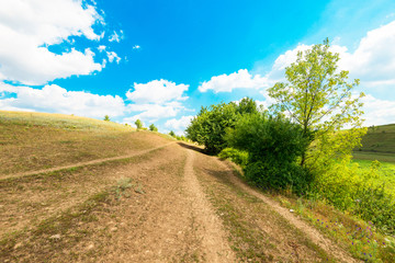 Fototapeta na wymiar countryside with fields on the background of blue sky