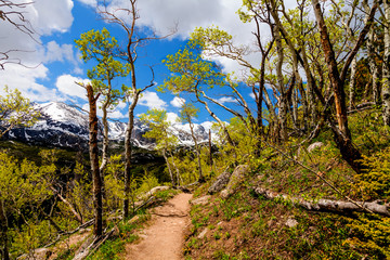 The Bierstadt Trail in the Rocky Mountain National Park near Estes Park, Colorado, is quite steep with magnificent views.