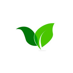 green leaf tree plant