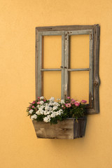 Fototapeta na wymiar Alter Fensterrahmen mit Blumenkiste