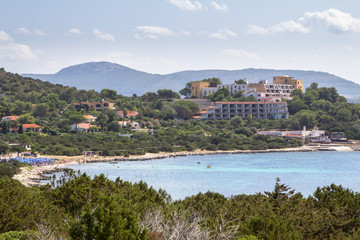 Summer landscape with green bushes on Sardinia Island
