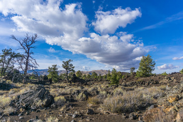 Craters of the Moon National Monument Vista