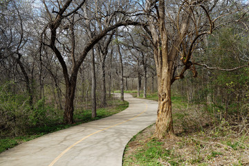 The path in the park on a sunny spring morning