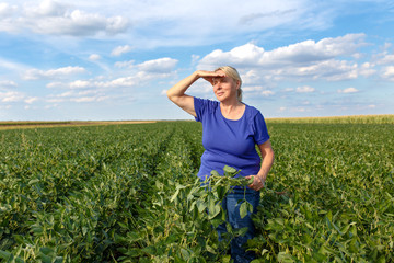 Senior female farmer standing in a soybean field and examining crop.