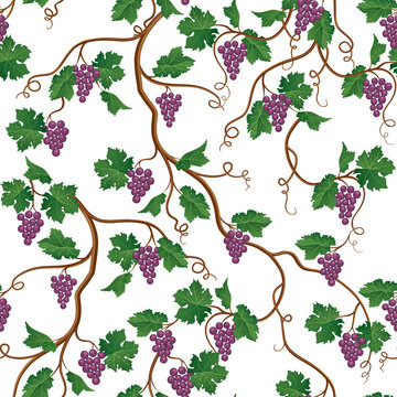 Floral pattern with grape branch. Wineyard seamless wallpaper. Garden background