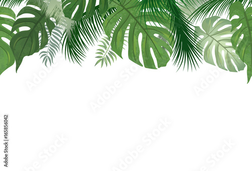Floral Seamless Pattern Tropical Leaf Background Palm Tree Leaves Summer Nature Border Wall Mural Terriana