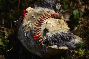 Baseball Fly Out