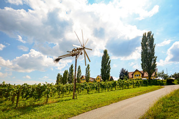 Panoramic view at vineyards with Klapotetz pinwheel before harvest, South Styrian wine route,  Austria Europe 