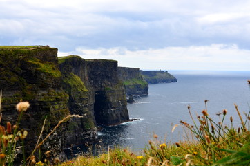 Fototapeta na wymiar Cliffs oh Moher, Irland