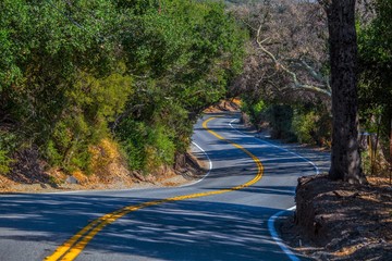 Curvy Road 4