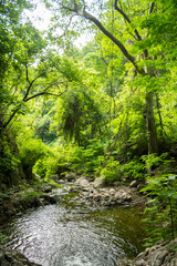 Obraz premium waterfall