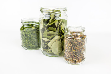 Glass jars with different types of tea