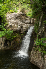 Fototapeta premium waterfall