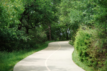 The path in the park in the springtime