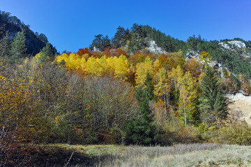 Panoramic Autumn view of Buynovsko gorge, Rhodope Mountains, Bulgaria