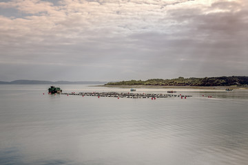 Agriculture and fish farming in Chile, South America