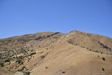 Kurdistan