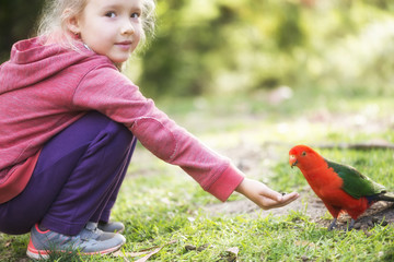 Girl feeding australian king parrot © SalenayaAlena
