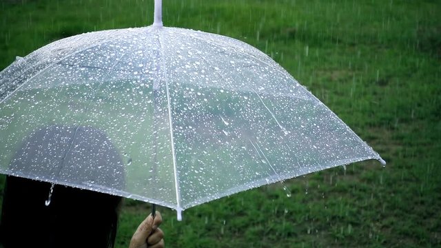 Close-up on umbrella with lady in raining day at park