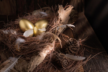 Golden eggs in nest on dark vintage