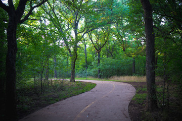 Concrete path in the park in summer
