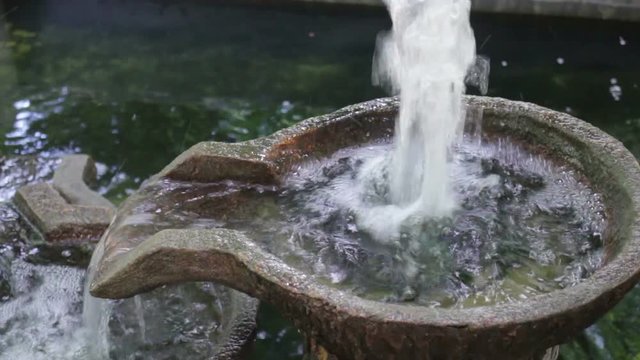 Water fall cray bowl decorated in the garden pond, stock video