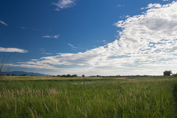 Nature summer landscape of grass valley with contrasting clouds and sky
