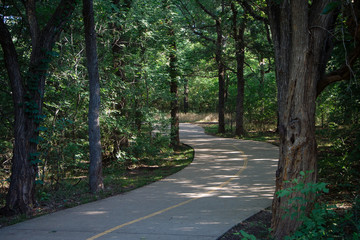 Concrete path in the park in the morning