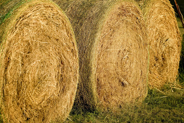 A Line of Three Bales of Hay