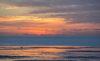 Low Tide at Lota.
