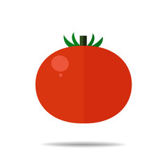 Tomato fruit vector