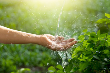 Water pouring in woman hand on nature background, environment issues