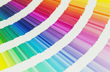 Pantone color palette swatches