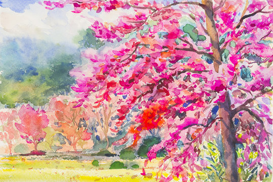 Landscape painting colorful of Wild Himalayan Cherry
